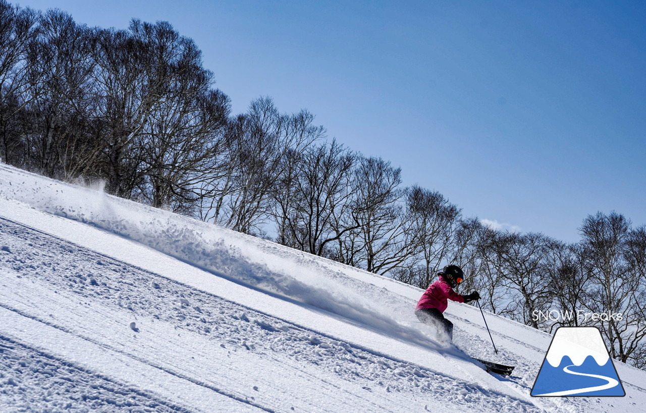 ニセコグラン・ヒラフ　もうすぐ4月。森林限界を超えると…、そこには『粉雪』が待っていました♪